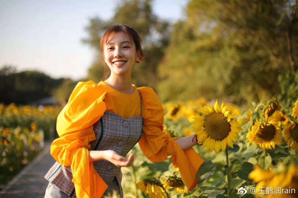 王鹤润和王鹤棣是什么关系?王鹤润和郑爽很