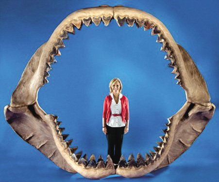 巨齿鲨现在还有吗？它的天敌是什么虎鲸的祖