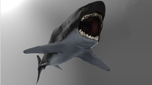 巨齿鲨现在还有吗?它的天敌是什么虎鲸的祖