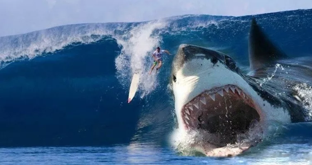 巨齿鲨现在还有吗？它的天敌是什么虎鲸的祖