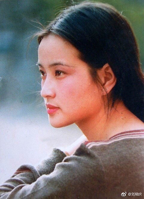 刘晓庆逃税事件为什么要坐牢？刘晓庆为什么