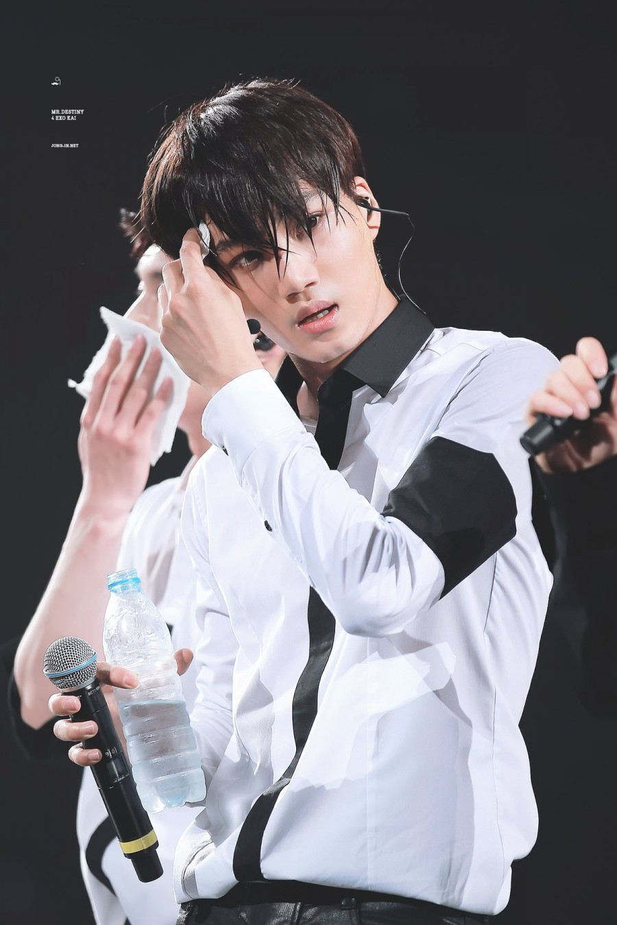 金钟仁为什么叫熊、黑钟、金钟大、金猪年？(金钟仁和金钟大是什么关系)