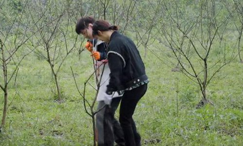 张艺兴杨紫称同款睡衣是巧合(张艺兴杨紫同款睡衣真相出炉)