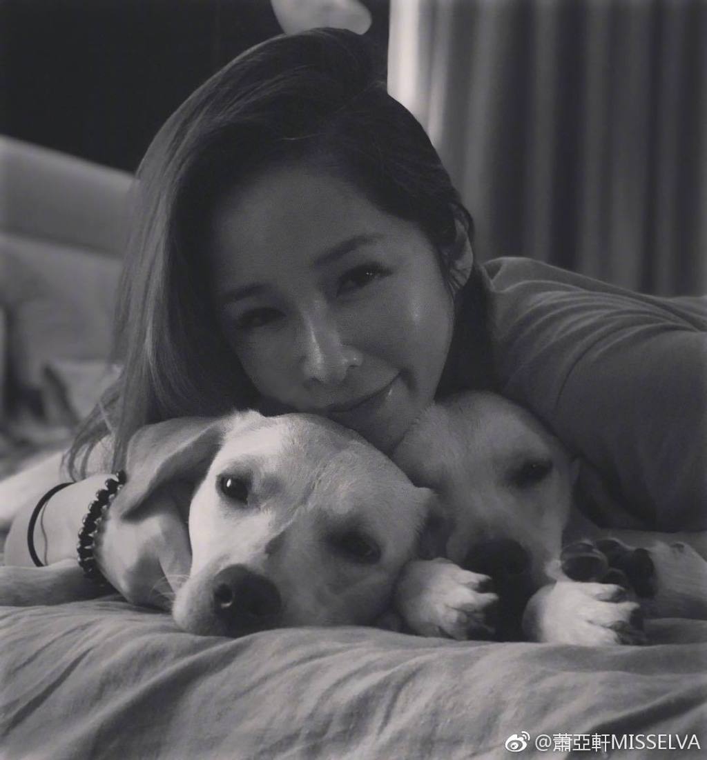 萧亚轩患艾滋病是假消息(萧亚轩得了艾滋病是真的吗)