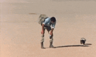 贝爷被蜜獾追了六小时?不是贝爷是《上帝也 贝爷被蜜獾追了六小时?不是贝爷是《上帝也