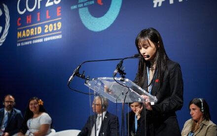 郑爽联合国发言说了什么演讲稿曝光(郑爽联合国大会发言)