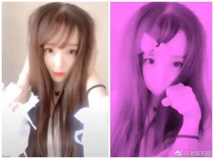 葬爱家族创始人为什么坐牢？2018葬爱家