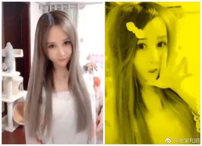 葬爱家族创始人为什么坐牢？2018葬爱家