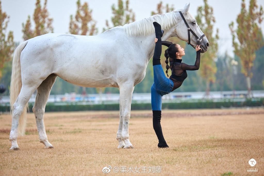 柔术女王刘藤上快乐大本营是哪一期