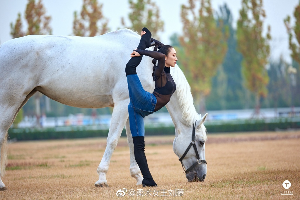 柔术女王刘藤上快乐大本营是哪一期