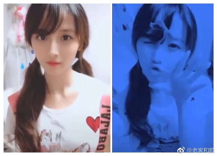 葬爱家族创始人为什么坐牢？2018葬爱家