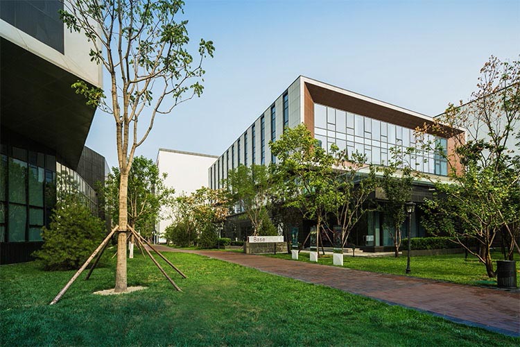 偶像练习生大厂男孩是什么梗？大厂男孩所有