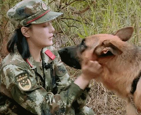 张馨予和何捷上奇兵神犬是哪一期?何捷现在 张馨予和何捷上奇兵神犬是哪一期?何捷现在