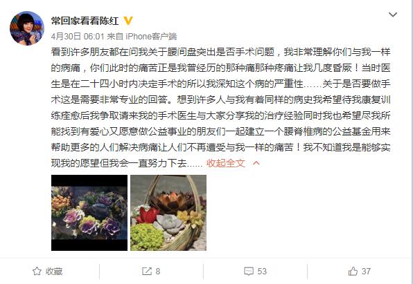 陈红瘫痪最新照片(歌手陈红瘫痪了吗)