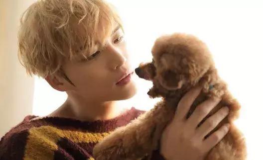 金在中为什么叫九爷、霓虹金、花花?金在中 金在中为什么叫九爷、霓虹金、花花?金在中