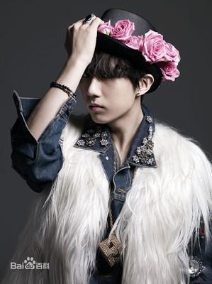 张贤胜为什么叫兰草、草儿？张贤胜退出be