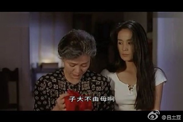 高金素梅年轻时照片(高金素梅近况)