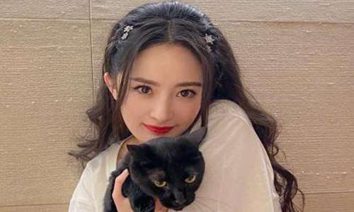 杨幂魏大勋被曝领证结婚(杨幂魏大勋登记结婚)