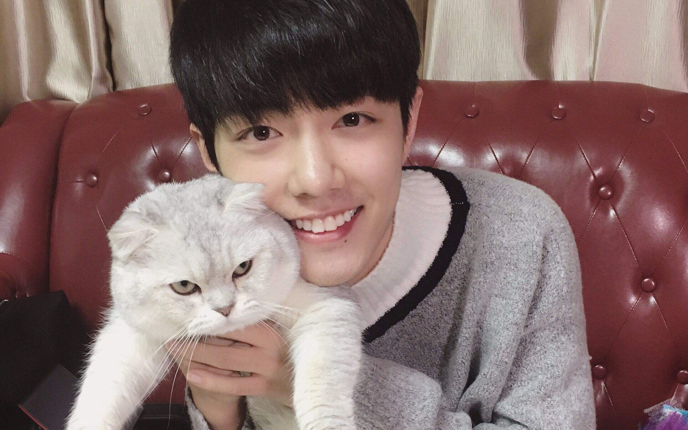 肖战daytoy是什么意思?肖战的粉丝为