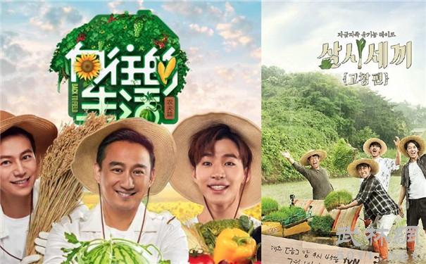 向往的生活数马是第几期规则是什么？黄磊是(向往的生活猜马游戏是哪一期)