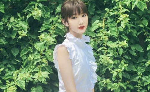 毛晓彤父女关系导致她退出娱乐圈了吗(毛晓彤父亲现状怎样?)