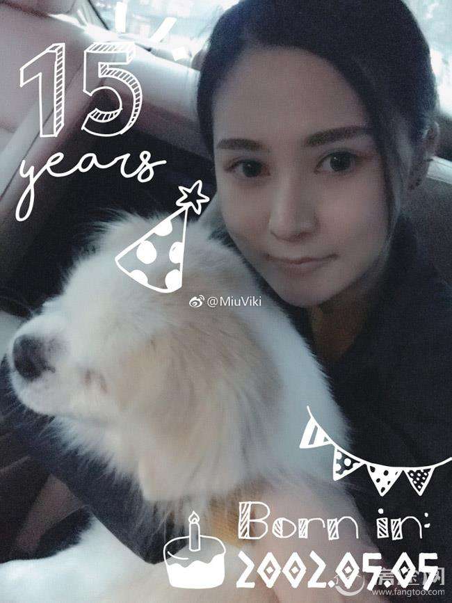 刘洲成为什么叫小美？刘洲成的老婆是干嘛的