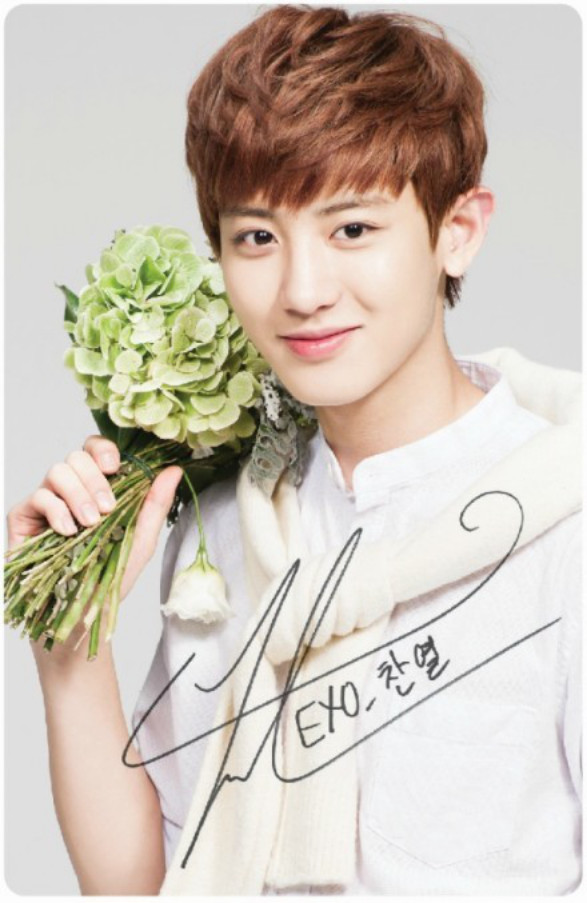 朴灿烈小时候胖乎乎的视频(灿烈小时候是个黑胖子)