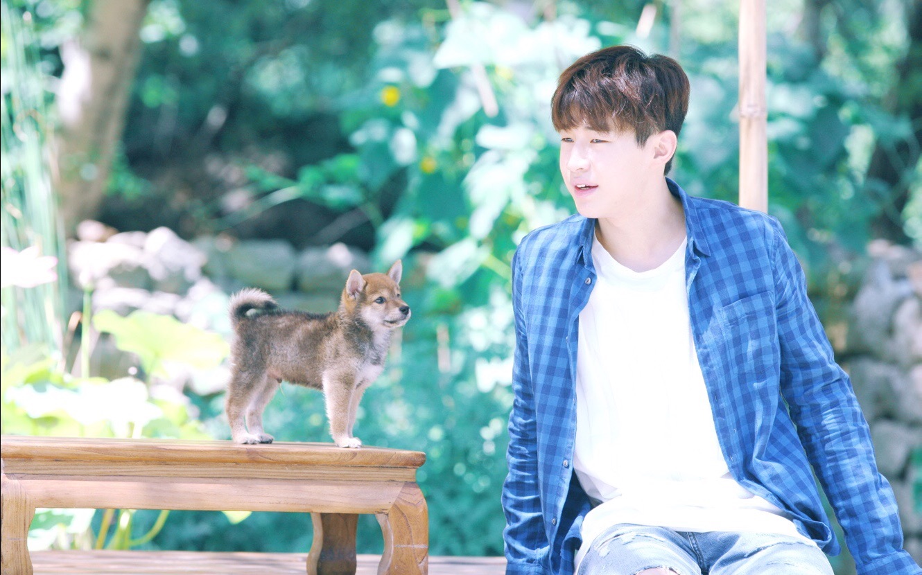 刘宪华为什么为什么叫大华?刘宪华是不是脑