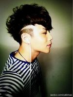 至上励合为什么解散了？至上励合当年成员资(至上励合组合解散了吗)