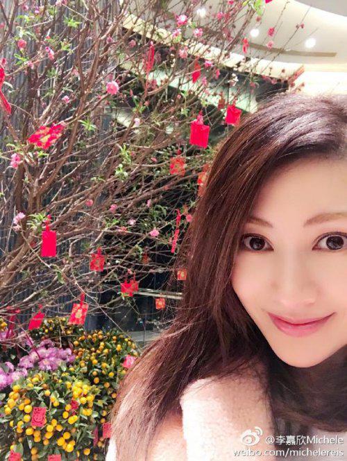 李嘉欣为嫁豪门抛夫弃子真相(李嘉欣嫁富豪)