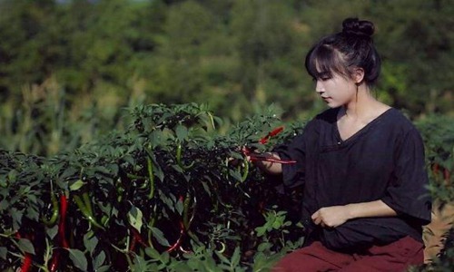 梦想的声音里的外国人是谁？节目中导师出场