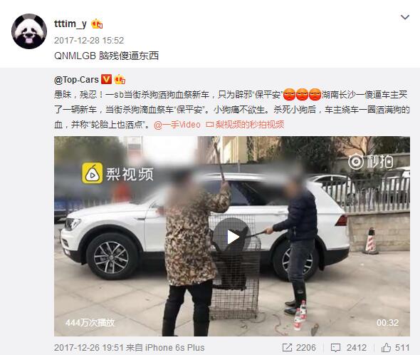 撕葱的朋友tttim