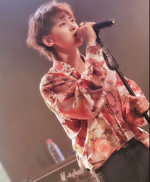 魏巡现在做什么工作(魏巡个人介绍)