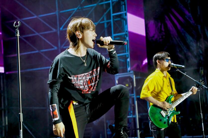 魏巡现在做什么工作(魏巡个人介绍)