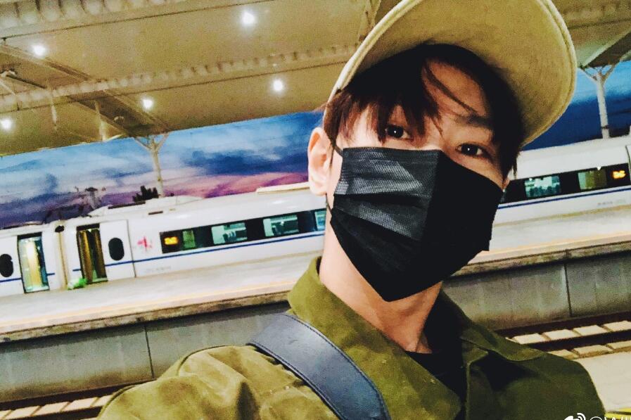 魏巡现在做什么工作(魏巡个人介绍)