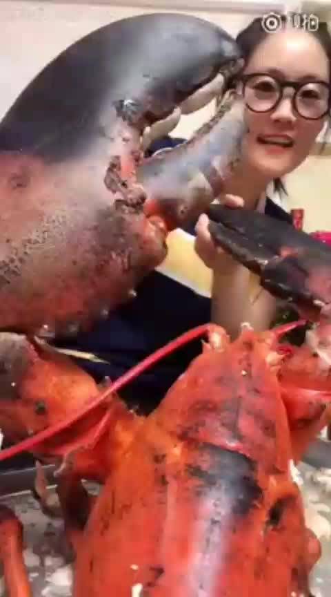 海豚姐姐是做什么的？海豚姐姐吃海鲜视频站(卖海鲜的海豚姐姐怎么没有了)