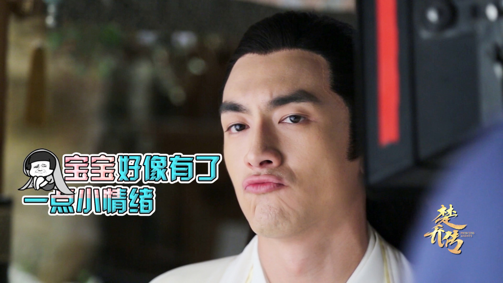 楚乔传寒山盟、谍纸天眼、秘府、往生营都有