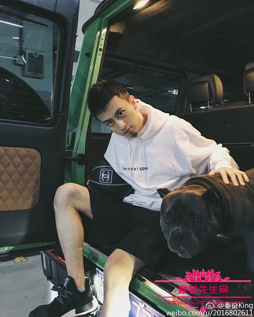 喜哥和秦奋是怎么认识的(喜哥秦奋分手)