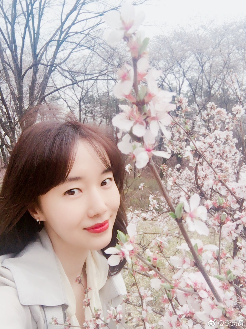 李贞贤为什么叫会长、山贼、韩流鼻祖、AV(为什么叫李贞贤为会长)