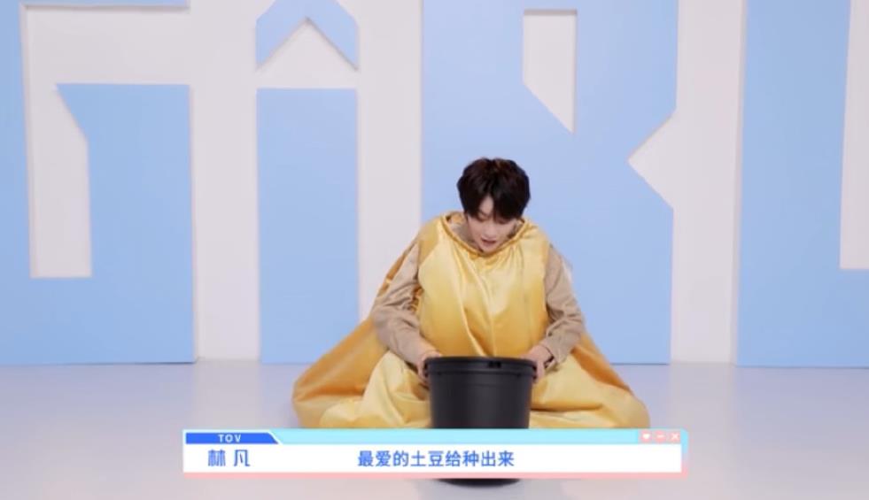 林凡为什么叫土豆凡(林凡为什么不火)