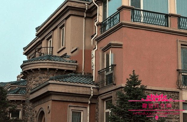 杨魏玲花和曾毅是夫妻吗(杨魏玲花结婚了吗?)