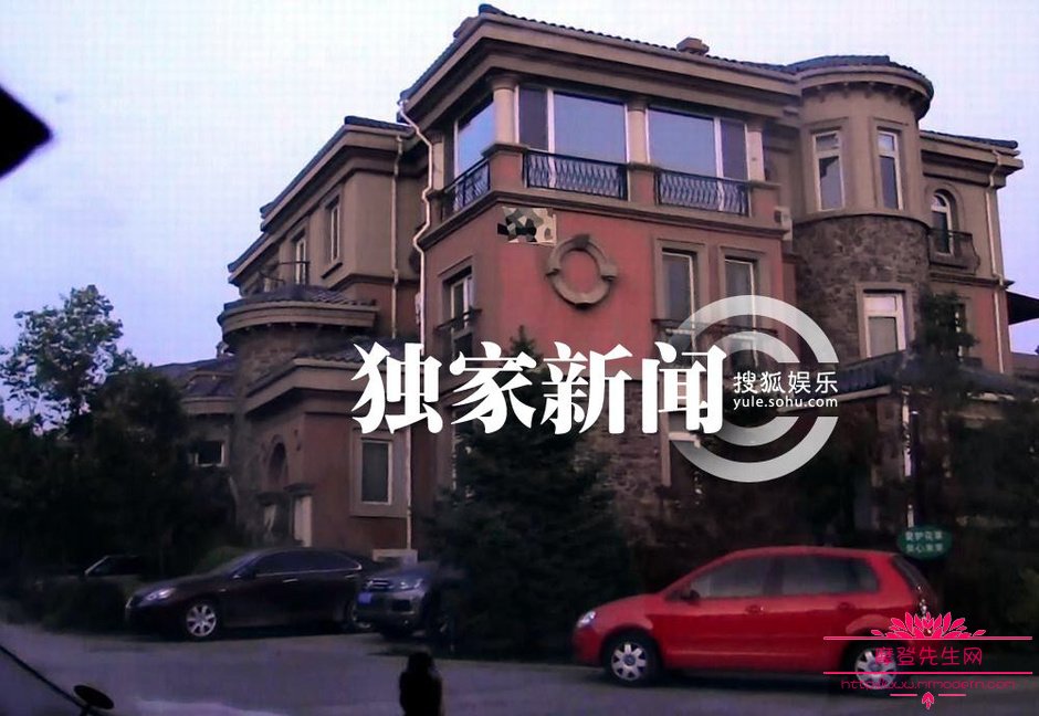 杨魏玲花和曾毅是夫妻吗(杨魏玲花结婚了吗?)