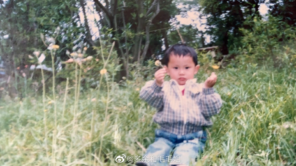 毛毛姐是哪个团队运作的(毛毛姐是哪里的人)