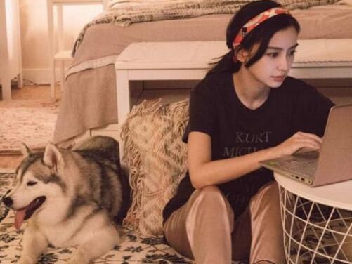 孤芳不自赏白娉婷结局是什么?揭秘白娉婷不(孤芳不自赏白娉婷受伤吐血)