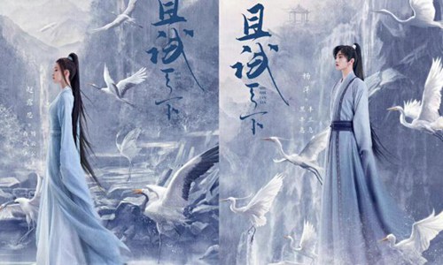 杨洋和赵露思是怎么认识的(杨洋和赵露思怎么了)