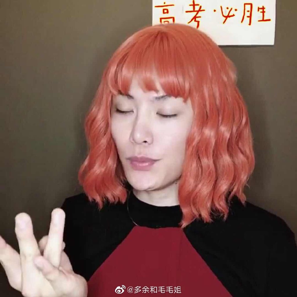 毛毛姐是哪个团队运作的(毛毛姐是哪里的人)