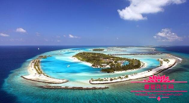 袁成杰和王思聪是什么关系(袁成杰舔王思聪)