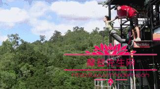 曾志伟在香港的地位为何这么高？曾志伟和曾(曾志伟是香港的吗)