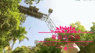 曾志伟在香港的地位为何这么高？曾志伟和曾(曾志伟是香港的吗)