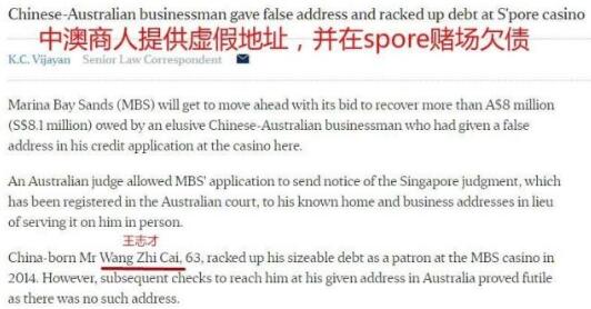 多年前杨颖对黄晓明温顺乖巧(黄晓明对杨颖好吗)